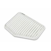 HOLDEN  AIR FILTER GM ACDelco suitable for VE VF COMMODORE VE V6 & V8 2006-2013